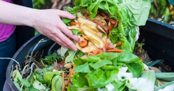 Find out how small changes in your routine can reduce food waste and save you money!