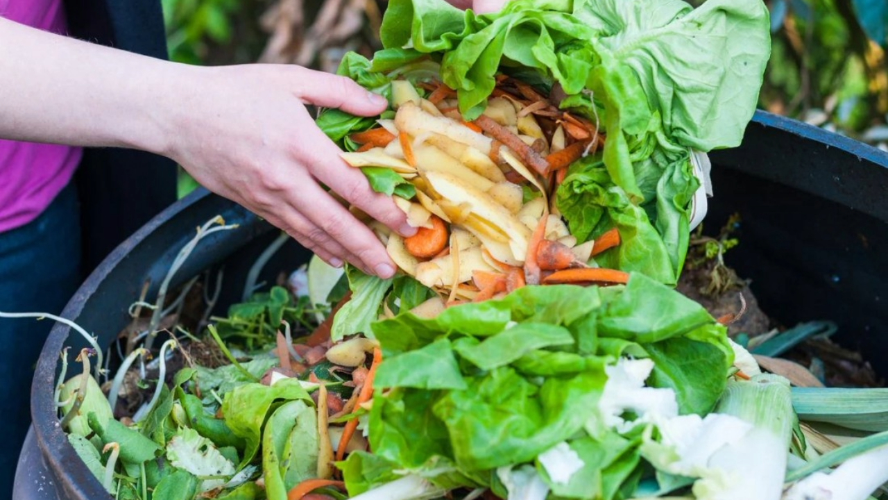 ¡Descubre cómo pequeños cambios en tu rutina pueden reducir el desperdicio de alimentos y ahorrarte dinero!